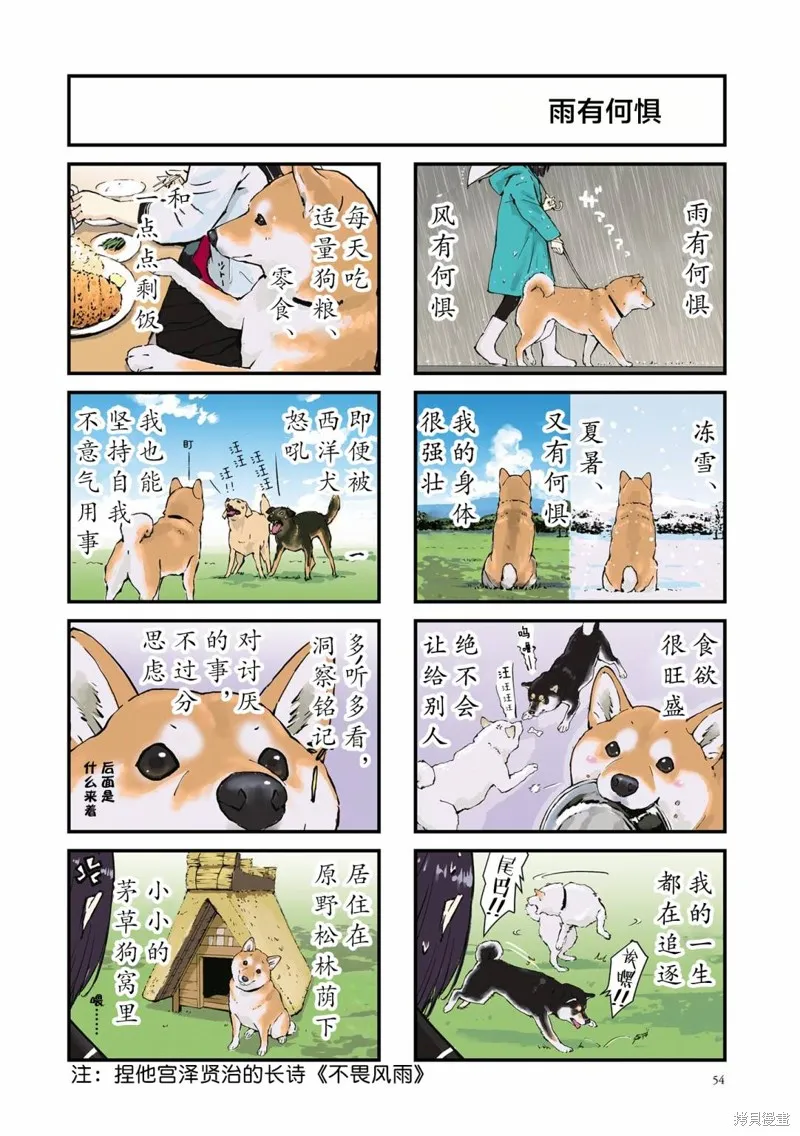 世界末日柴犬為伴,第32话,第10张
