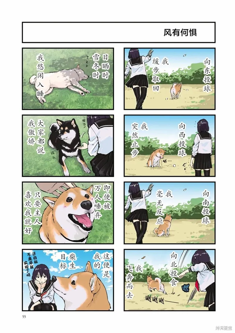 世界末日柴犬為伴,第32话,第11张
