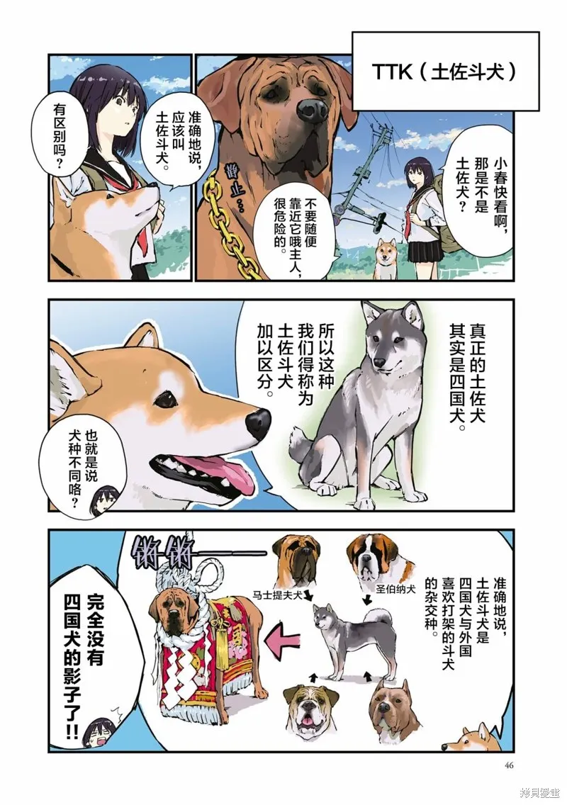 世界末日柴犬為伴,第32话,第2张