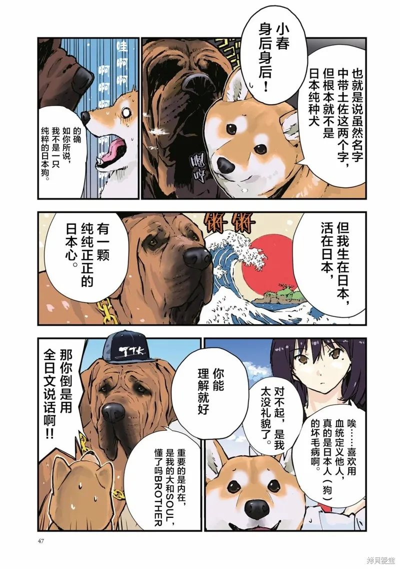 世界末日柴犬為伴,第32话,第3张