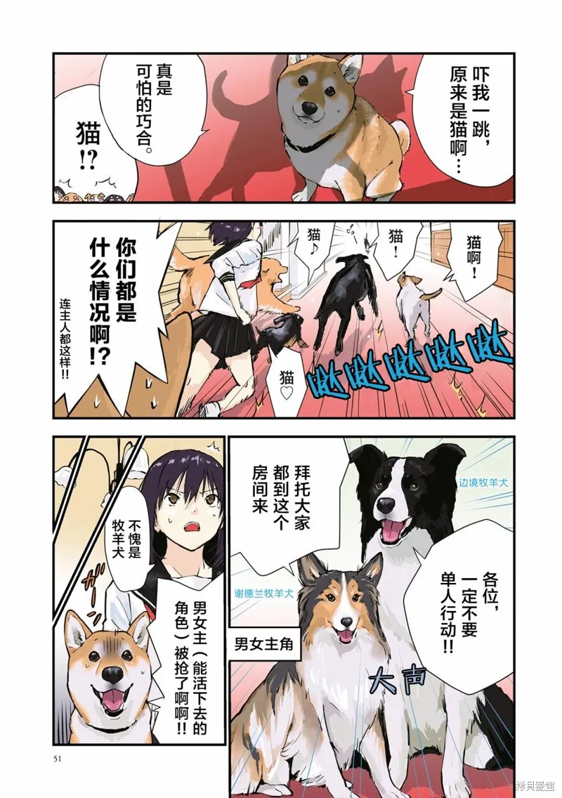 世界末日柴犬為伴,第32话,第7张