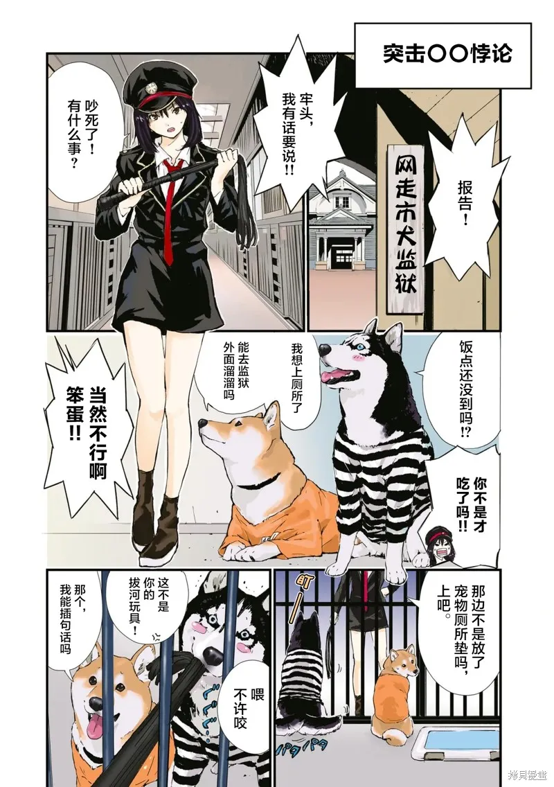 世界末日柴犬為伴,第36话,第11张