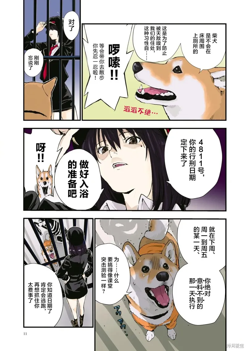 世界末日柴犬為伴,第36话,第12张
