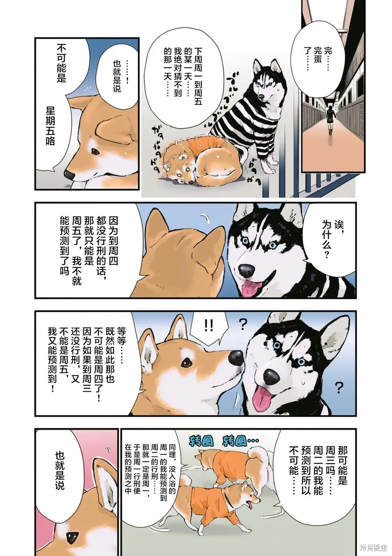 世界末日柴犬為伴,第36话,第13张