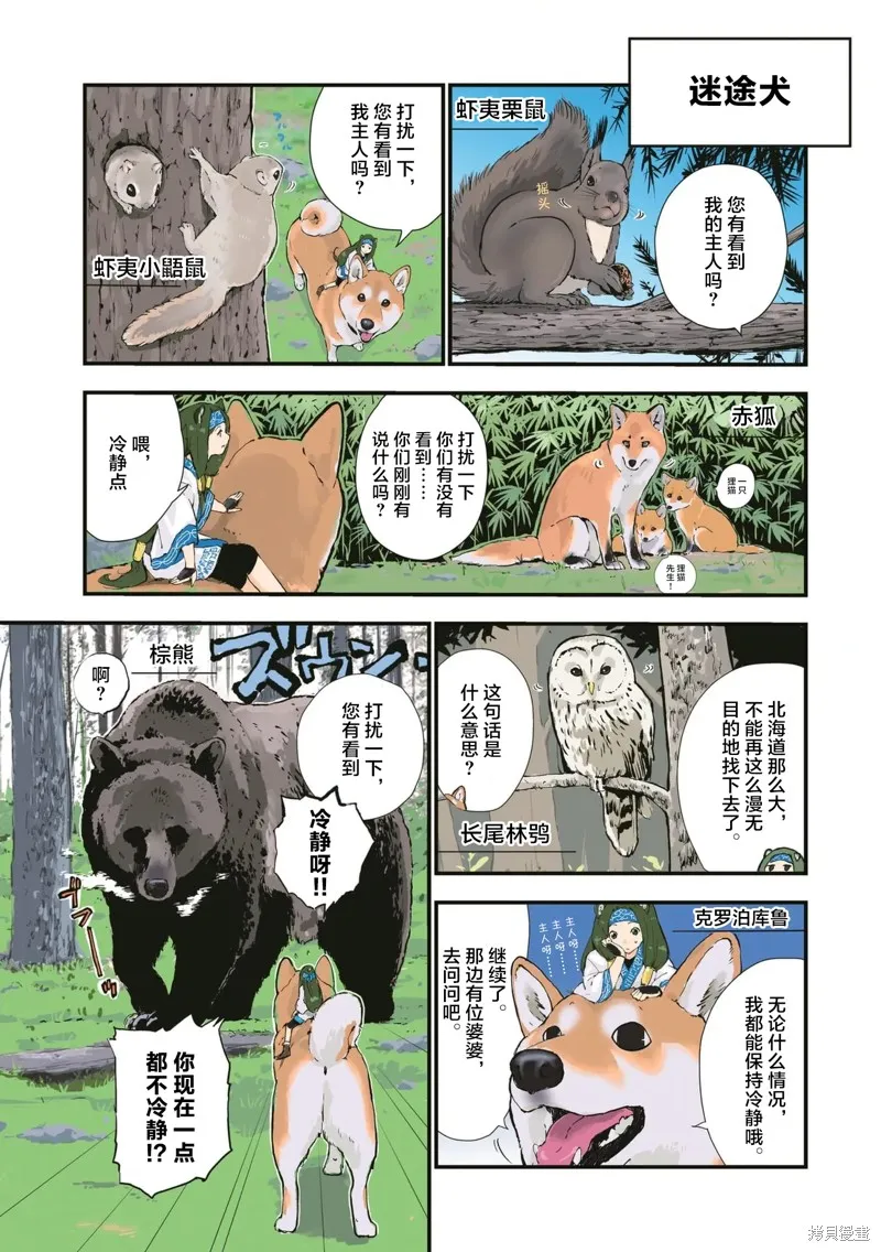 世界末日柴犬為伴,第36话,第8张