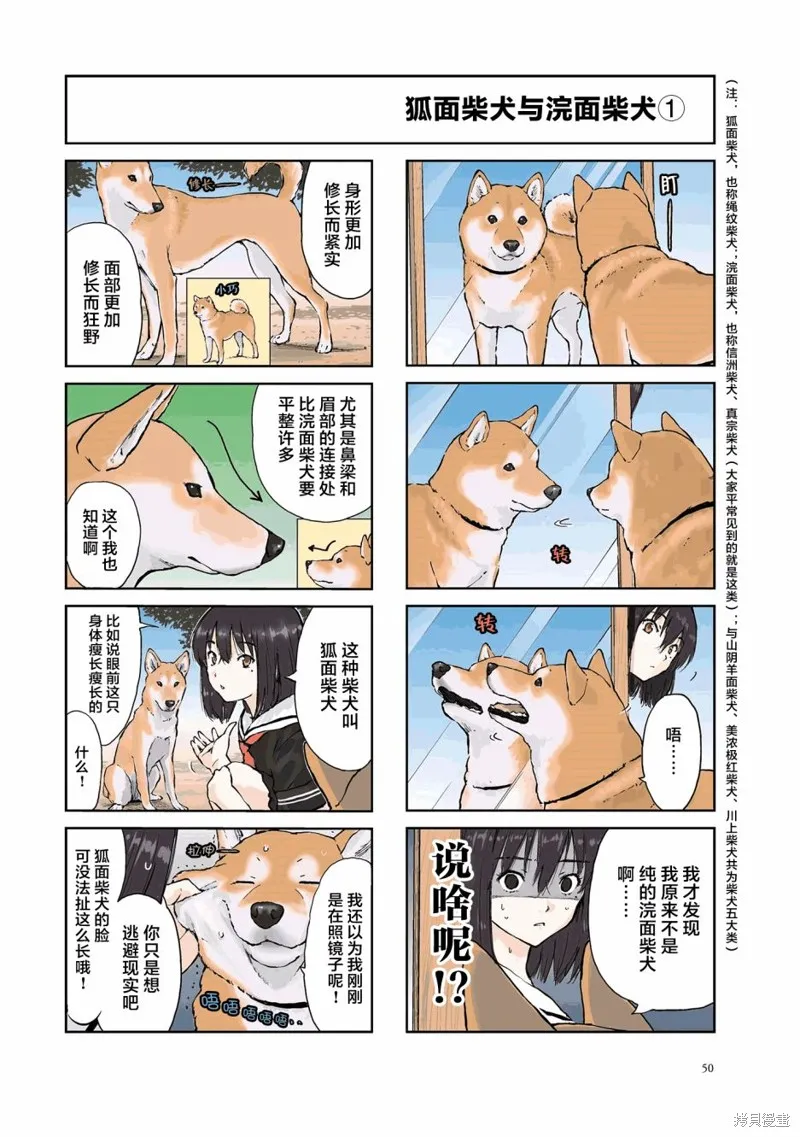 世界末日柴犬為伴,第22话,第4张