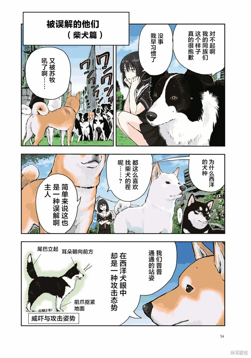 世界末日柴犬為伴,第22话,第8张
