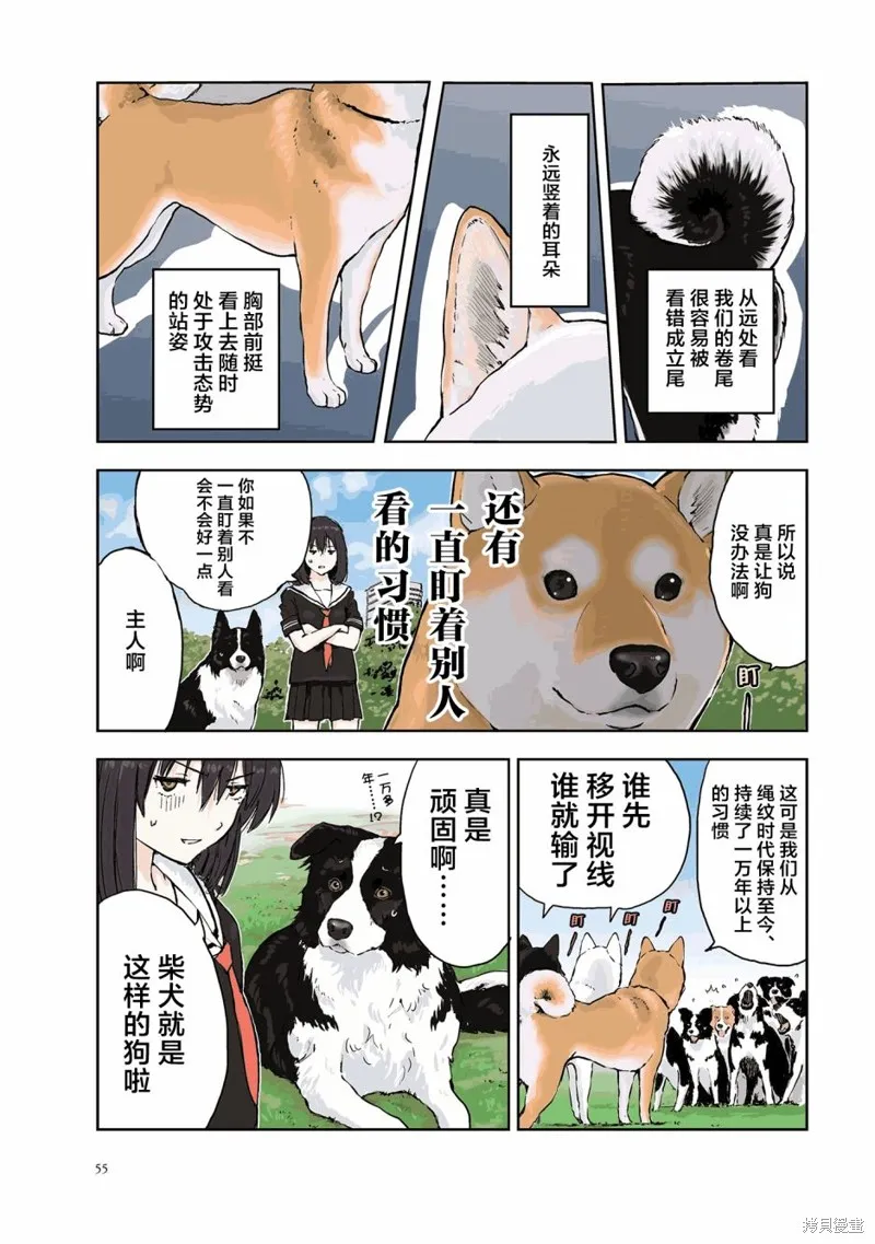 世界末日柴犬為伴,第22话,第9张