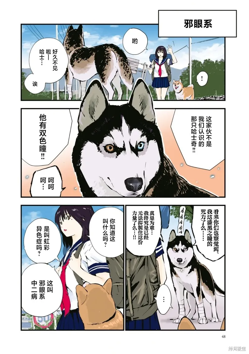 世界末日柴犬為伴,第40话,第4张
