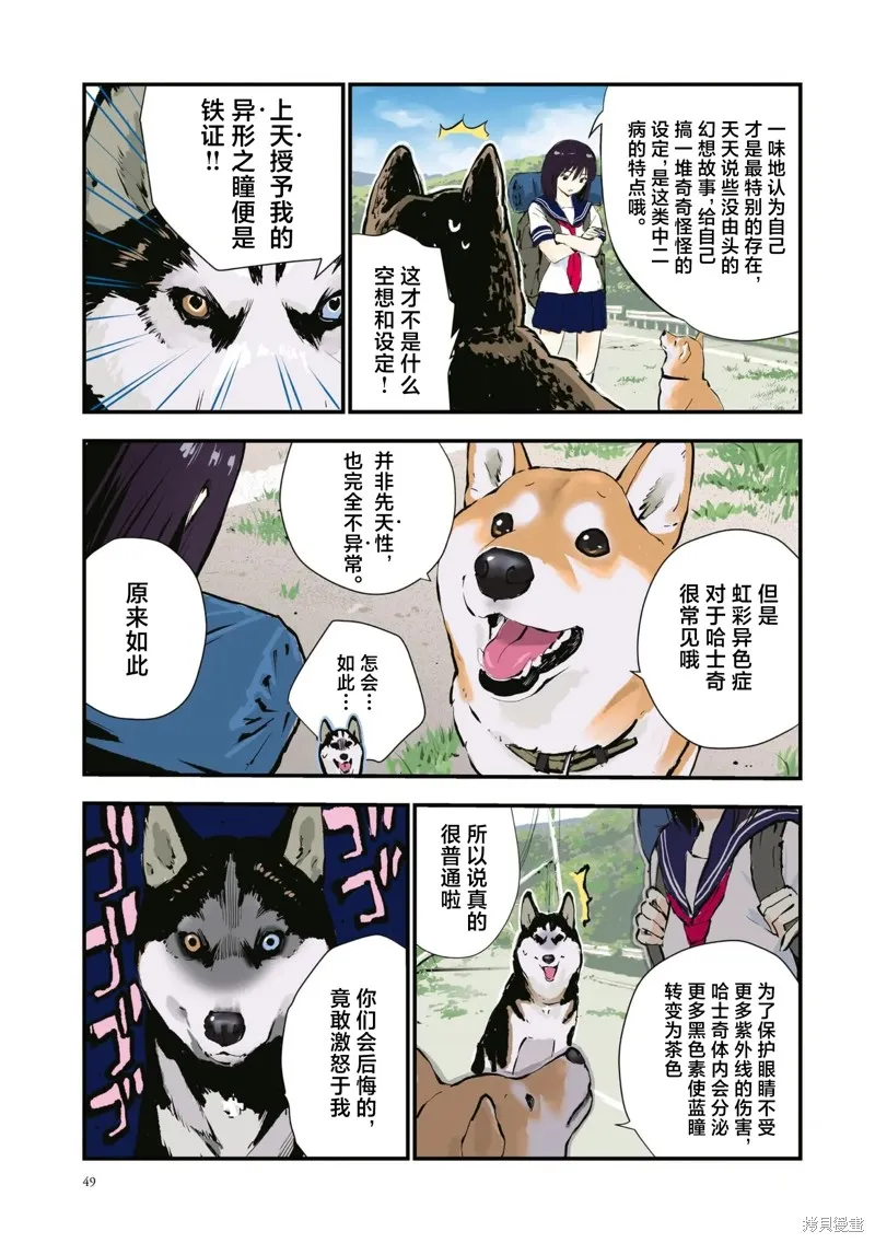 世界末日柴犬為伴,第40话,第5张