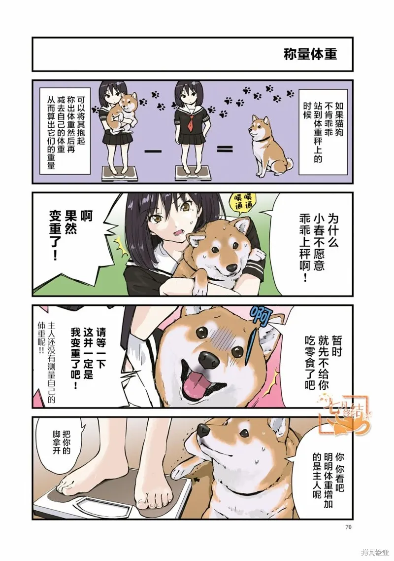 世界末日柴犬為伴,第24话,第2张