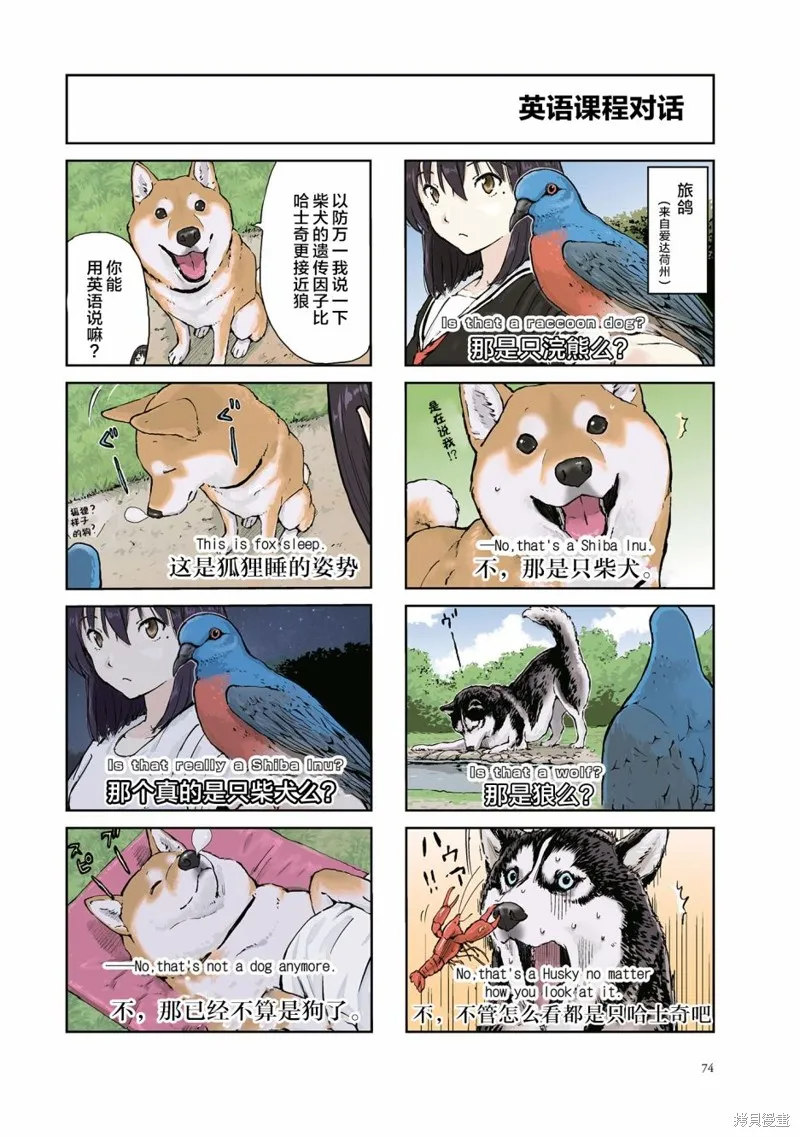 世界末日柴犬為伴,第24话,第6张