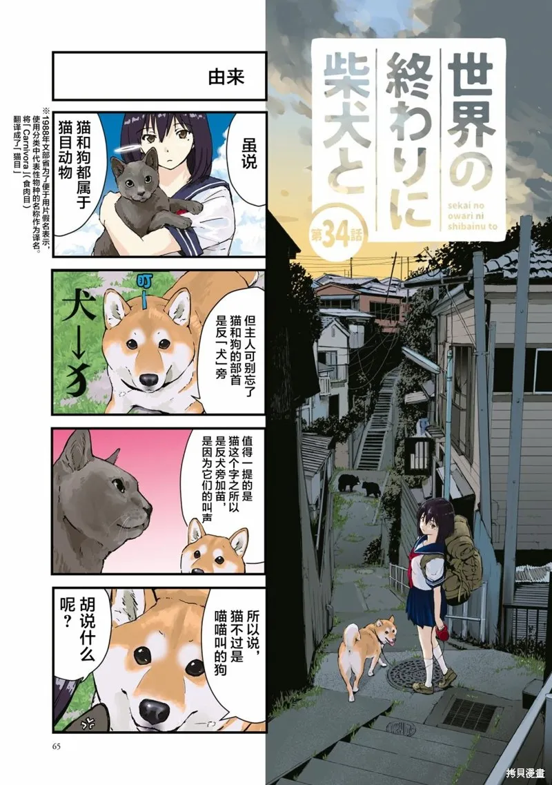 世界末日柴犬為伴,第34话,第1张