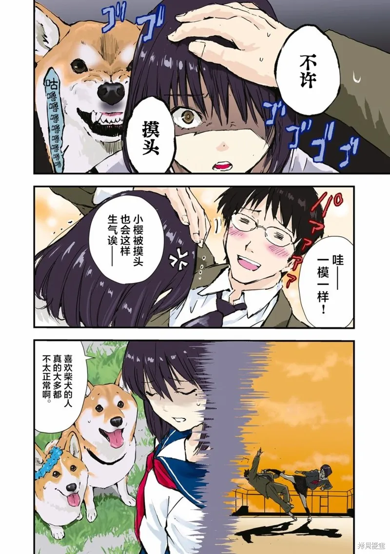 世界末日柴犬為伴,第34话,第10张
