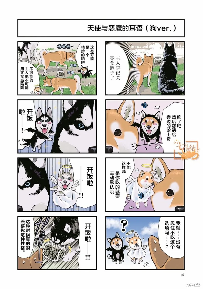 世界末日柴犬為伴,第34话,第2张