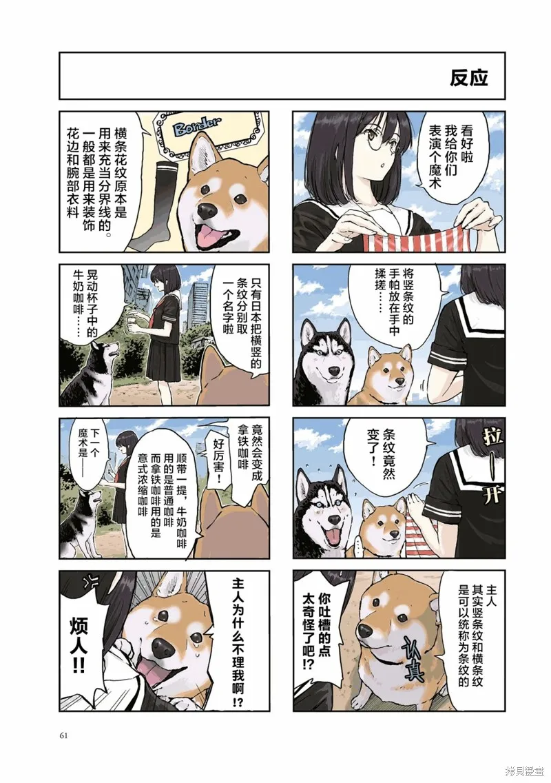世界末日柴犬為伴,第23话,第4张