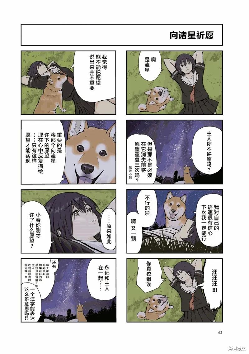 世界末日柴犬為伴,第23话,第5张