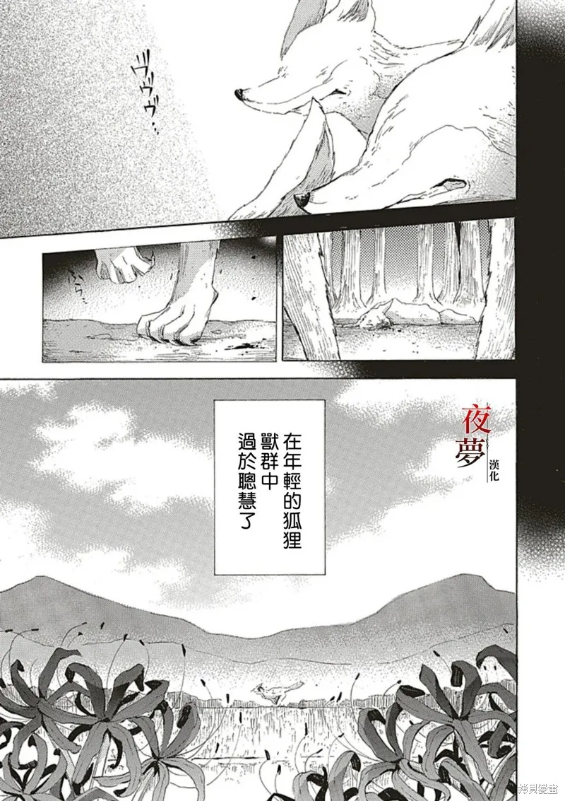 嫁給死神之日,番外篇3.1,第4张