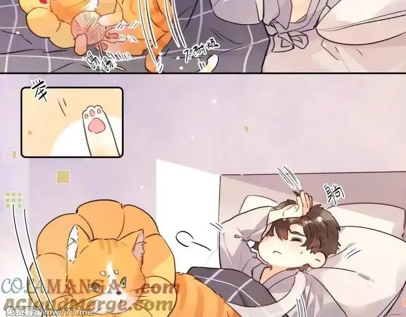 告白,番外6 想得太多,第5张