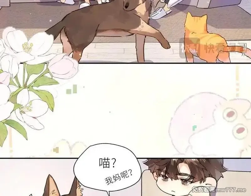 告白,番外7 最近很忙？,第14张