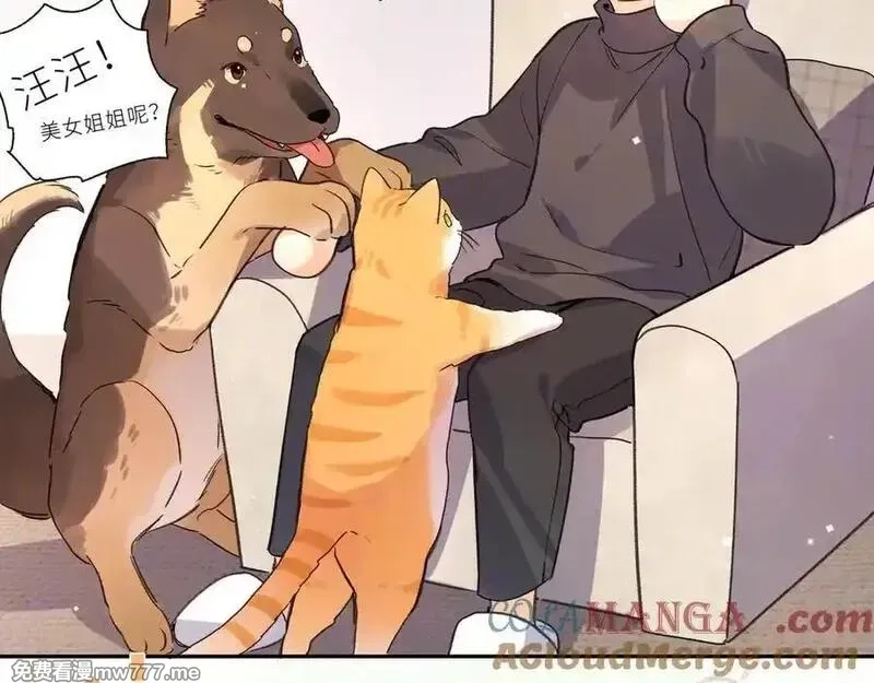 告白,番外7 最近很忙？,第15张