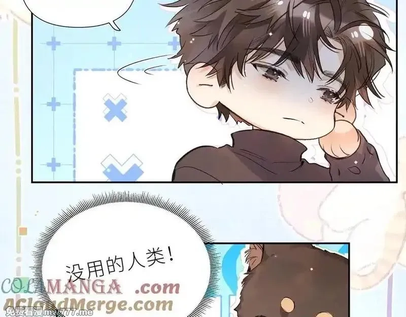 告白,番外7 最近很忙？,第19张
