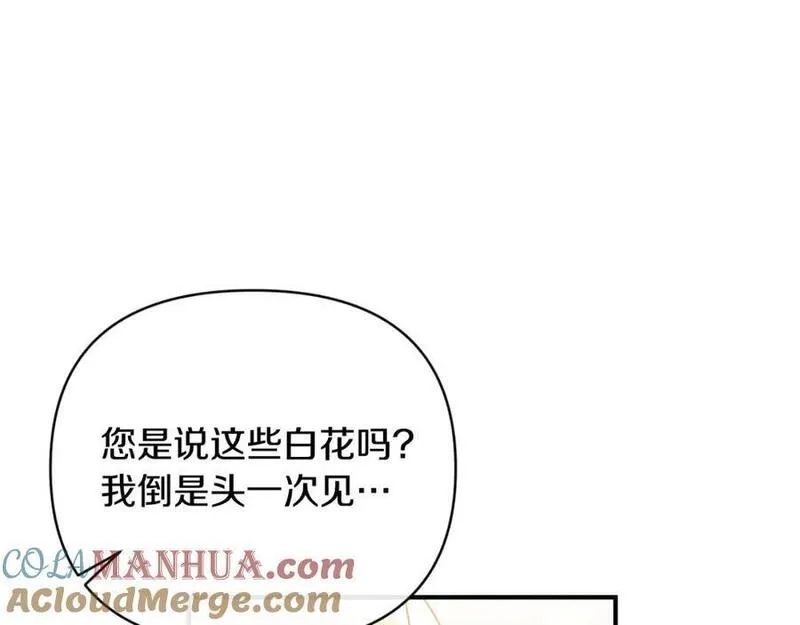 恶女公爵的真面目,第78话 可疑的花,第157张