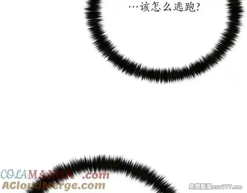 死灵法师：重生的我全技能精通,第52话 精灵王族的公主,第113张