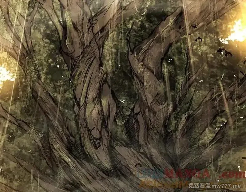 死灵法师：重生的我全技能精通,第52话 精灵王族的公主,第73张
