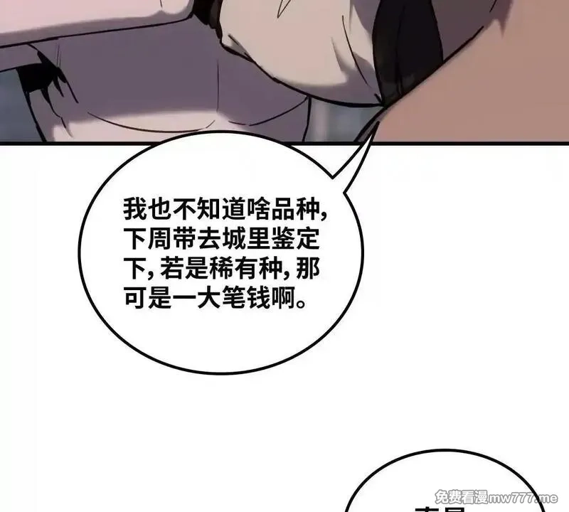 山海大陆,生而为奴,第54张