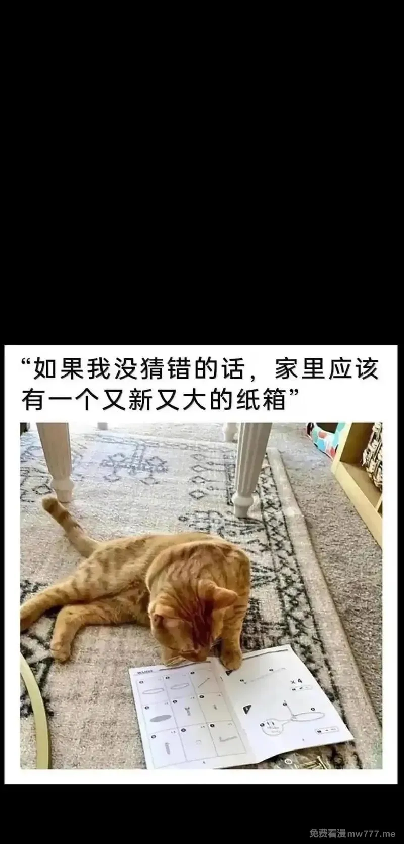 肉搏无敌的不良少年在游戏中却想当奶妈,164 傻牧师,第86张