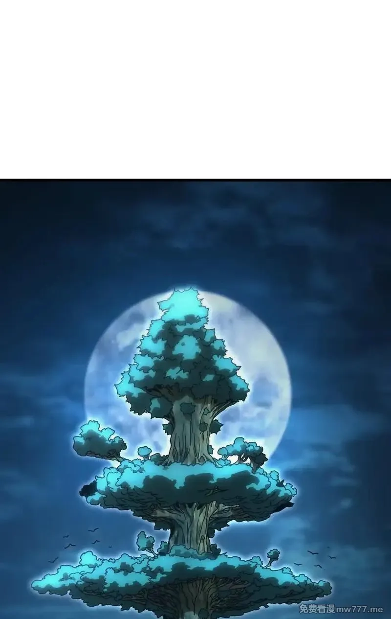 肉搏无敌的不良少年在游戏中却想当奶妈,152 精灵族长老,第56张