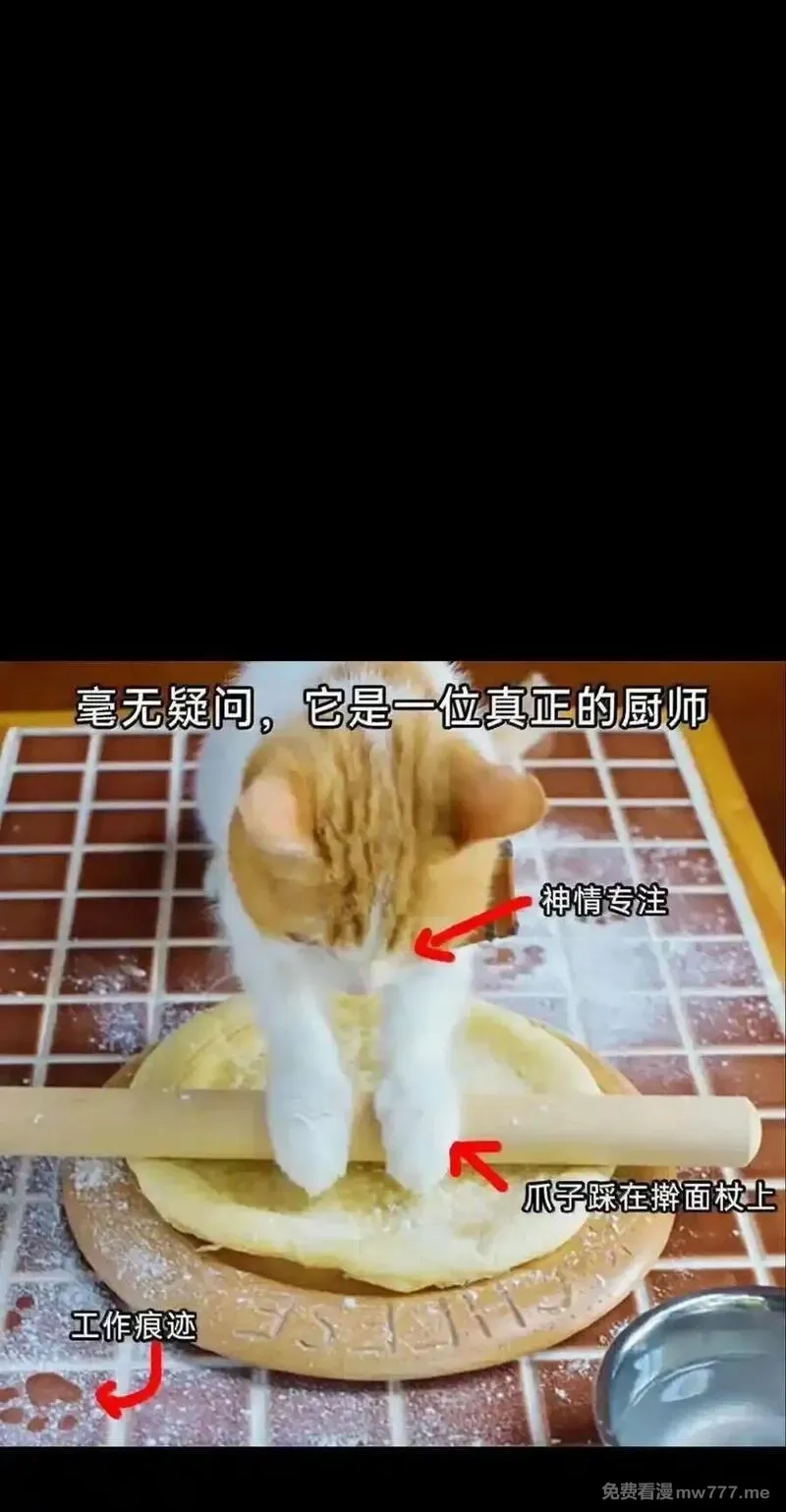 肉搏无敌的不良少年在游戏中却想当奶妈,157 【番外】应战与她-上,第95张