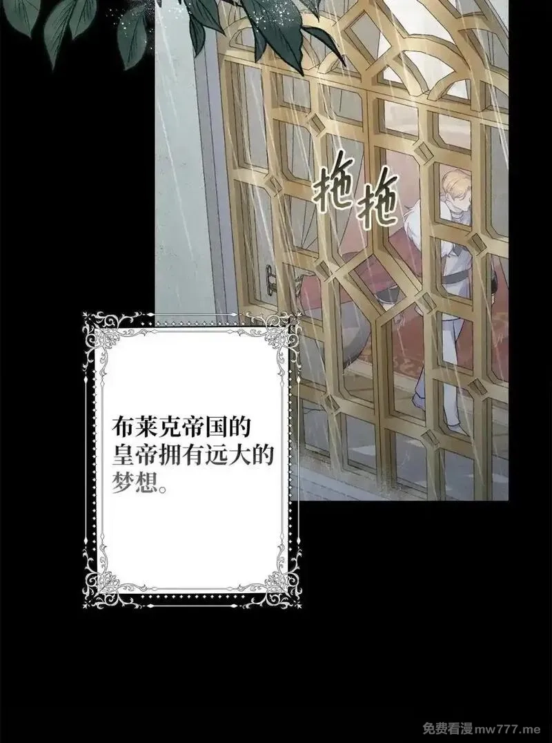 黑幕的年幼资助人,89 永生的秘密,第51张