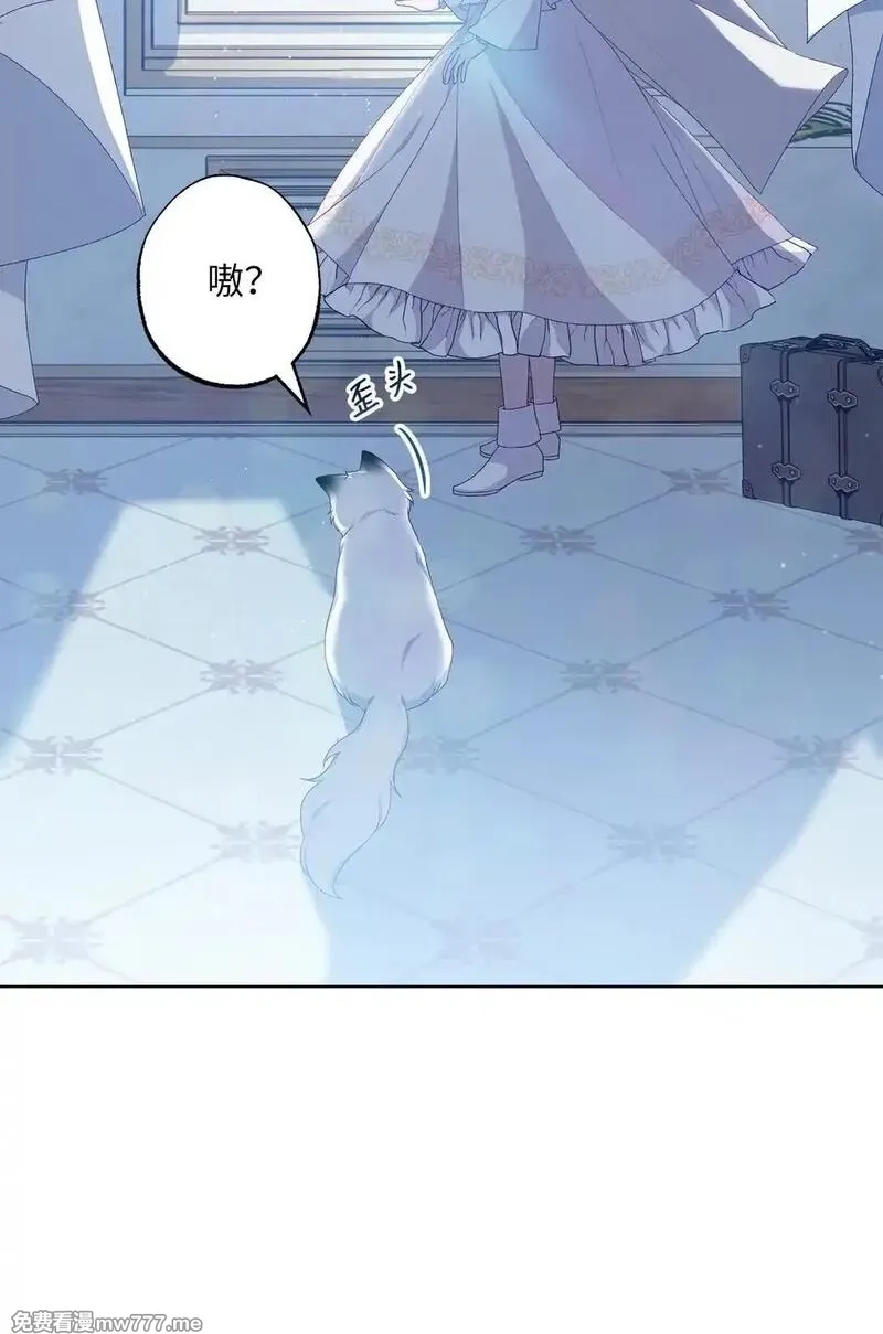 黑幕的年幼资助人,66 逃离,第51张