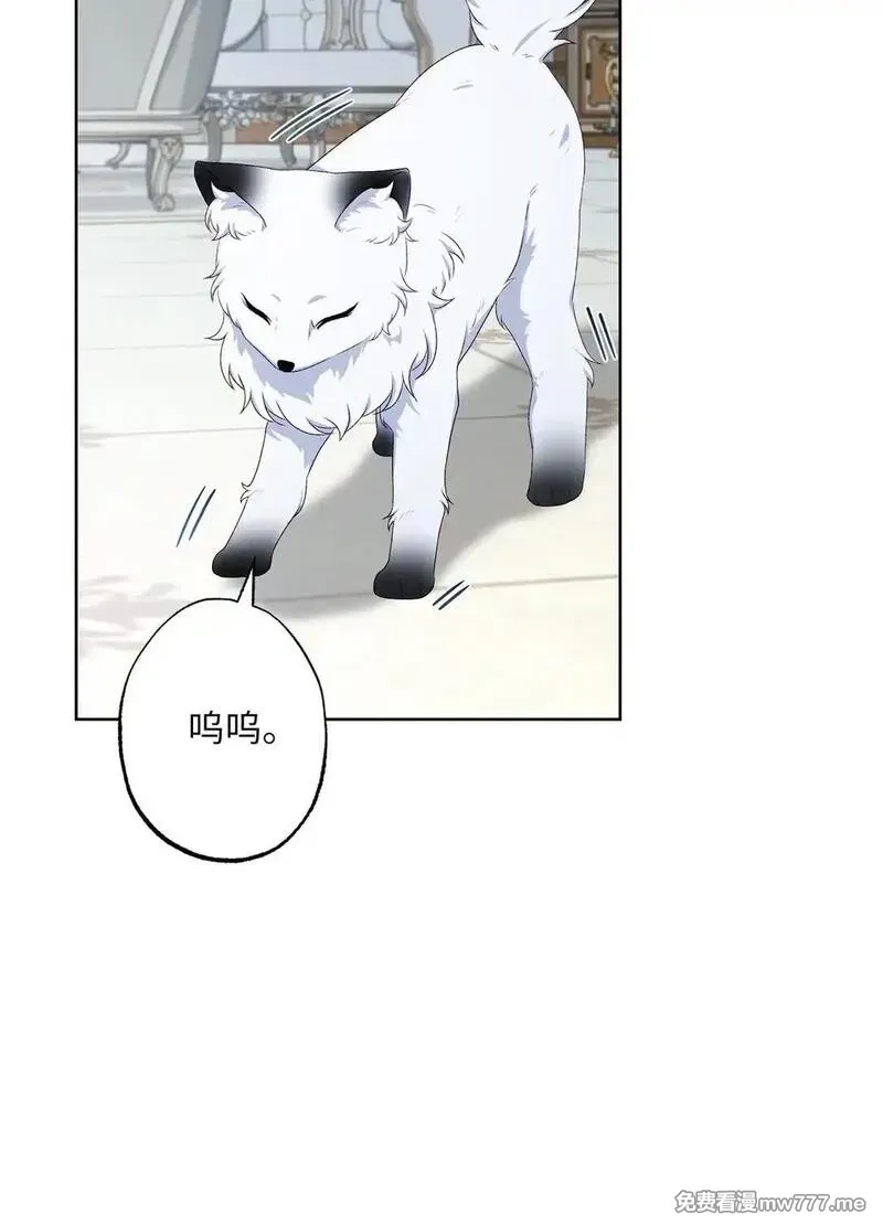 黑幕的年幼资助人,66 逃离,第53张