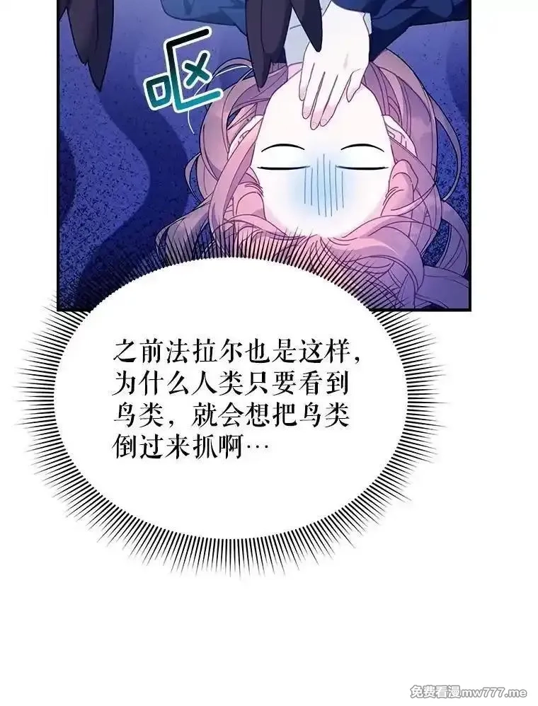 传令鸟皇女殿下,112.被困住的天才,第12张