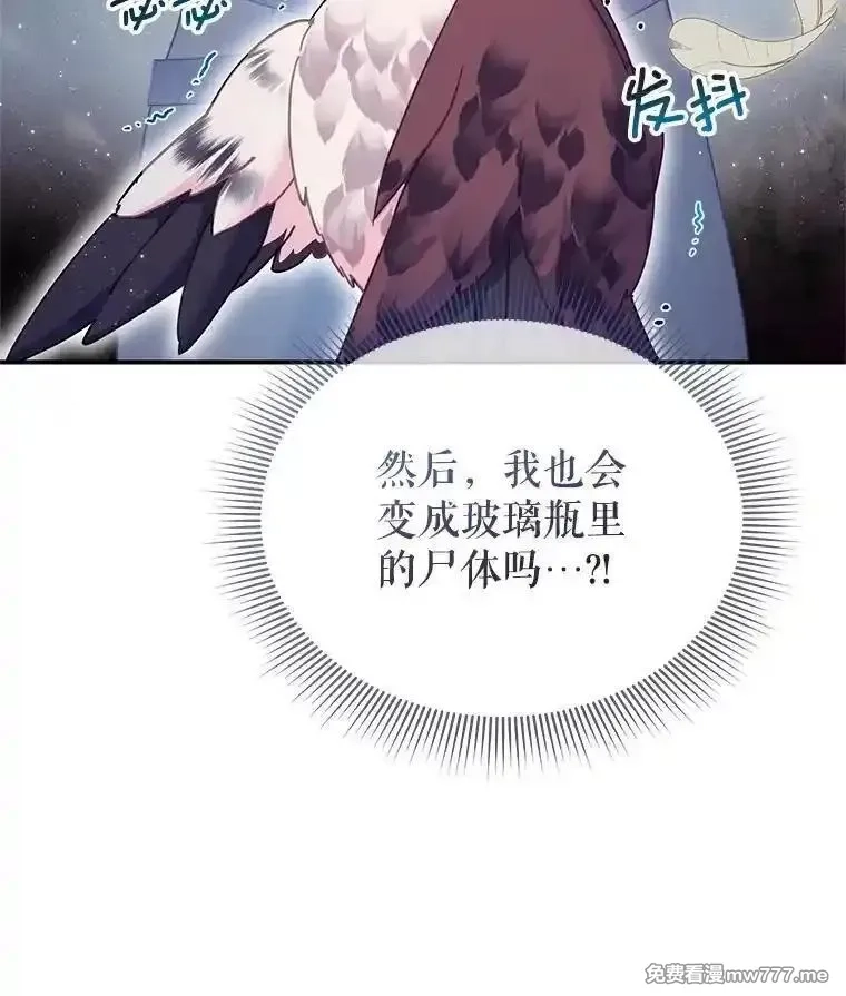传令鸟皇女殿下,112.被困住的天才,第22张