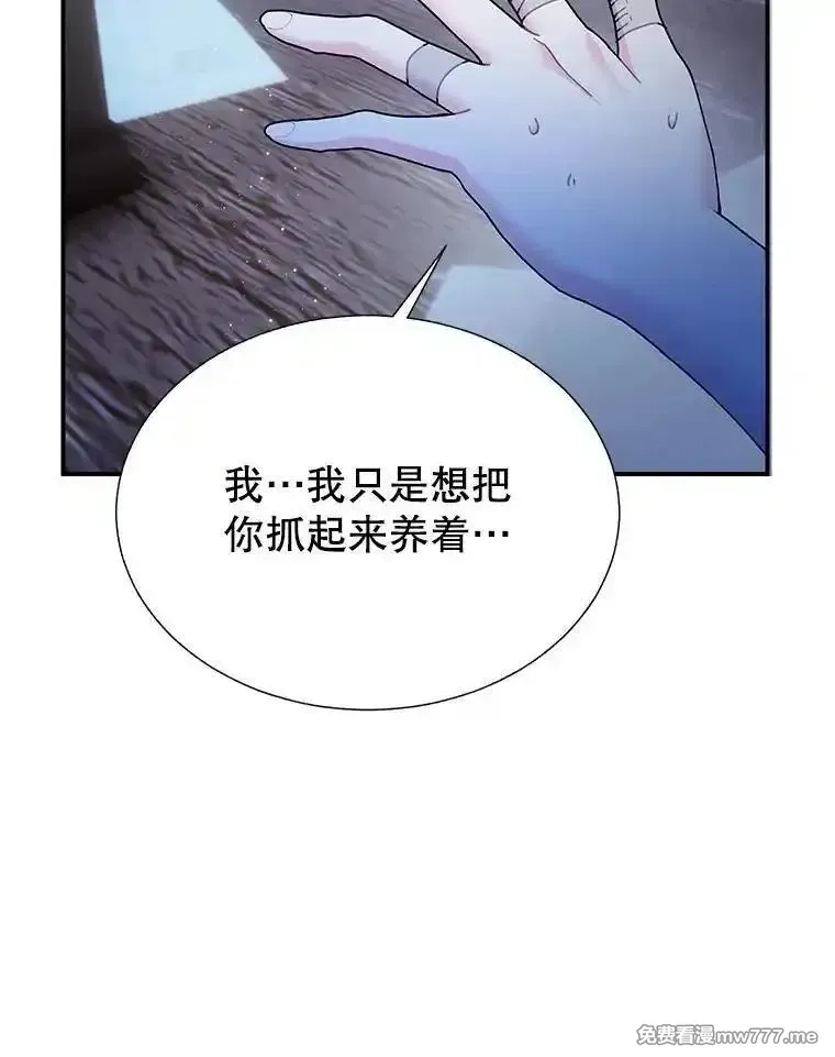 传令鸟皇女殿下,112.被困住的天才,第26张
