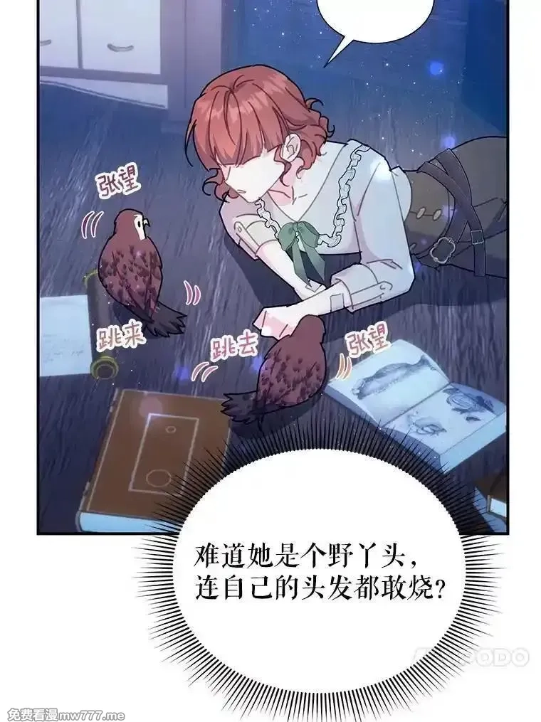 传令鸟皇女殿下,112.被困住的天才,第44张