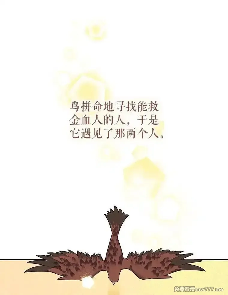 传令鸟皇女殿下,122.扰乱视线计划,第11张