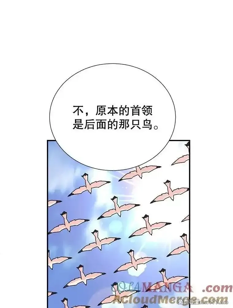 传令鸟皇女殿下,122.扰乱视线计划,第121张