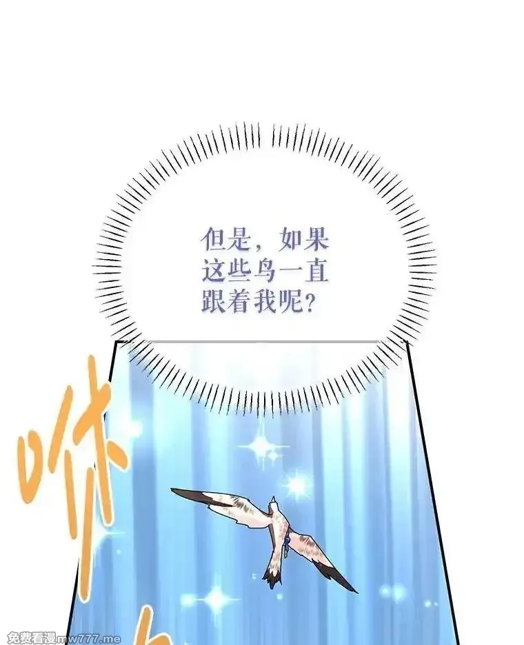 传令鸟皇女殿下,122.扰乱视线计划,第130张