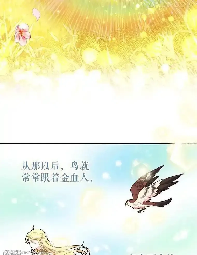 传令鸟皇女殿下,122.扰乱视线计划,第14张