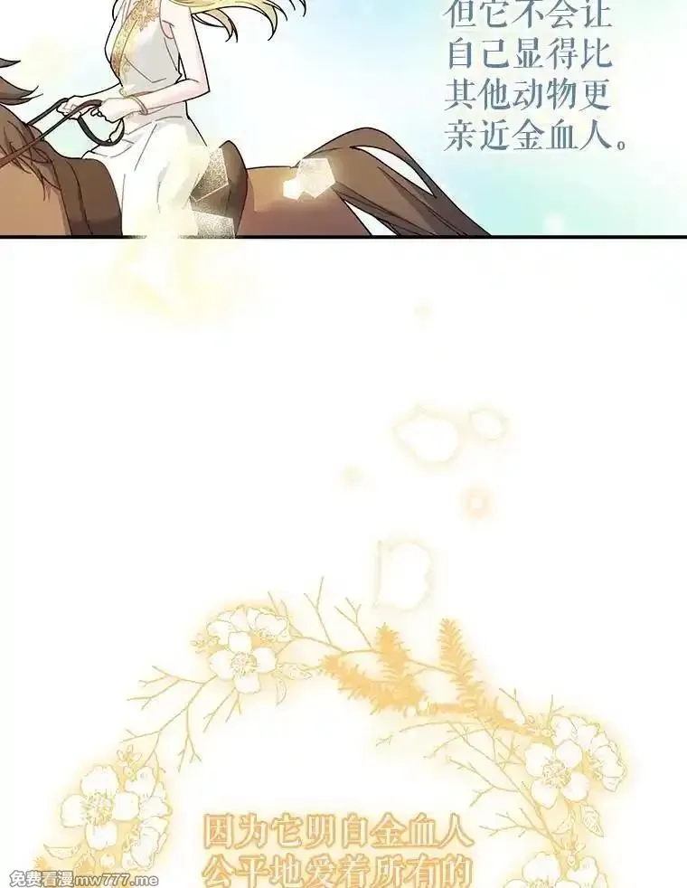 传令鸟皇女殿下,122.扰乱视线计划,第15张