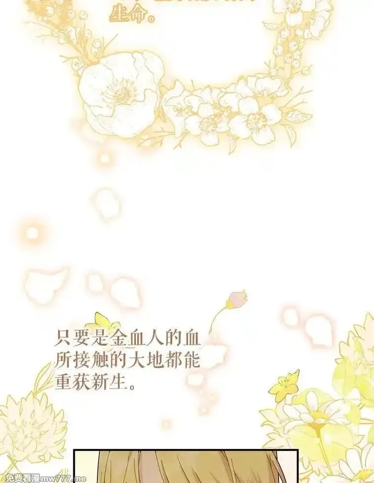 传令鸟皇女殿下,122.扰乱视线计划,第16张
