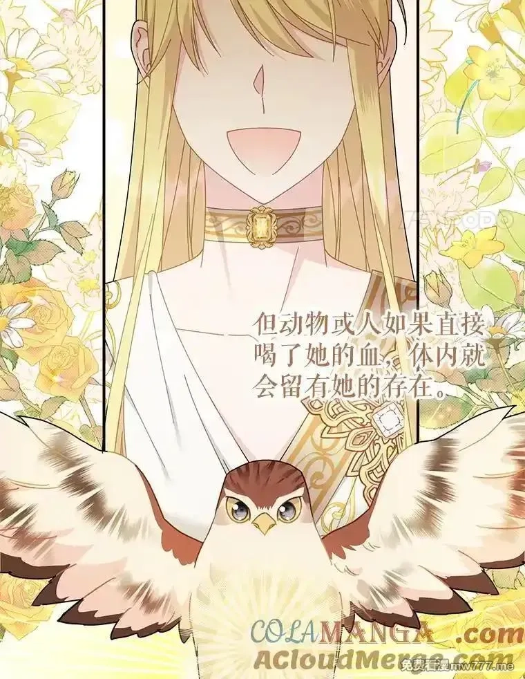 传令鸟皇女殿下,122.扰乱视线计划,第17张