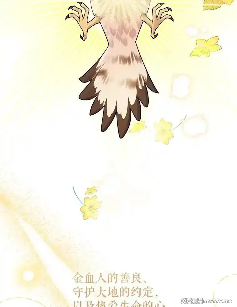 传令鸟皇女殿下,122.扰乱视线计划,第18张