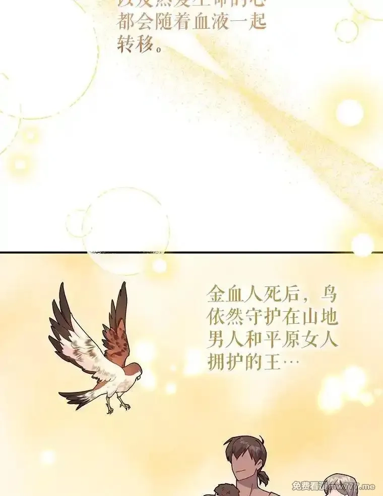 传令鸟皇女殿下,122.扰乱视线计划,第19张