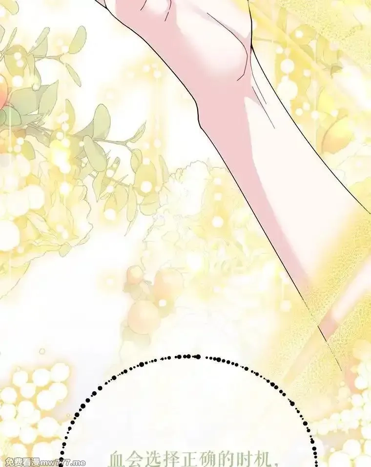 传令鸟皇女殿下,122.扰乱视线计划,第22张
